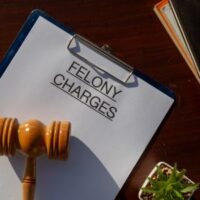 FelonyCharges